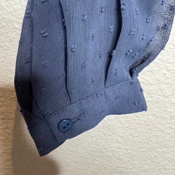 DR2 Blue Chiffon Clip Dot Sheer Button Front Blouse Sz Large - Picture 3 of 11